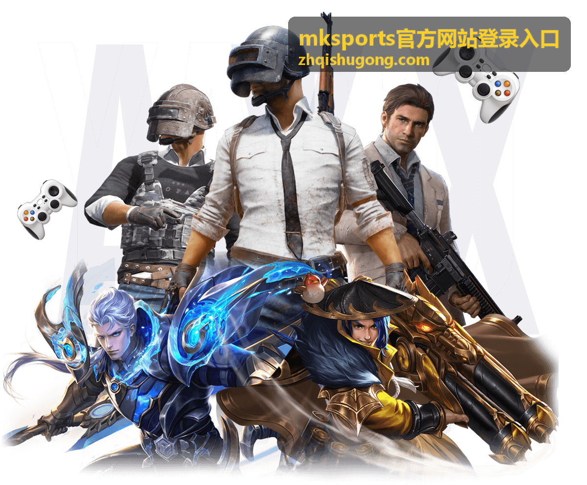 mksports官方网站登录网络环境建议